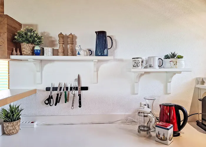 Moeoesli Vue By Interhome * Beatenberg